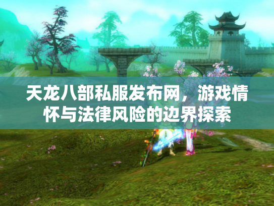 天龙八部私服发布网，游戏情怀与法律风险的边界探索