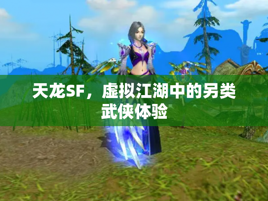 天龙SF，虚拟江湖中的另类武侠体验