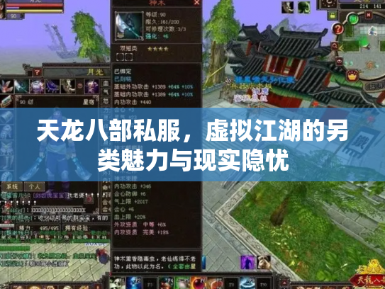 天龙八部私服，虚拟江湖的另类魅力与现实隐忧