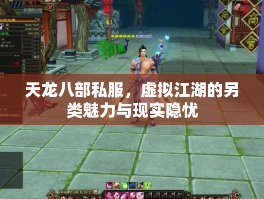 天龙八部私服，虚拟江湖的另类魅力与现实隐忧