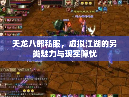 天龙八部私服，虚拟江湖的另类魅力与现实隐忧