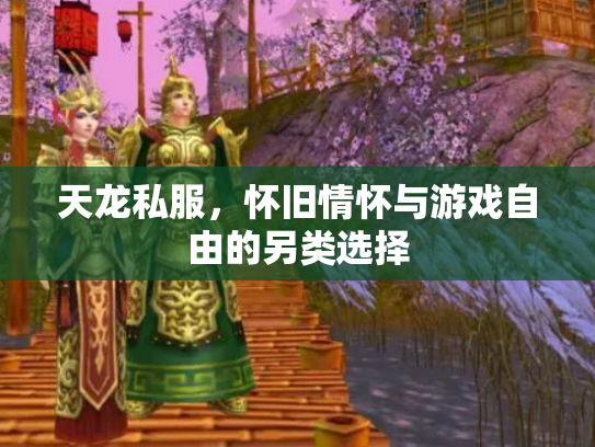 天龙私服，怀旧情怀与游戏自由的另类选择