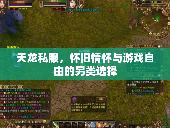 天龙私服，怀旧情怀与游戏自由的另类选择