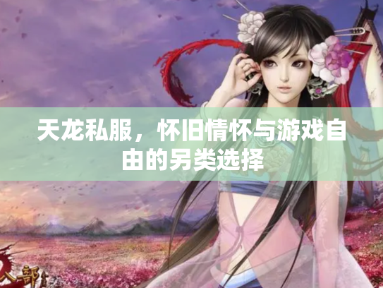 天龙私服，怀旧情怀与游戏自由的另类选择