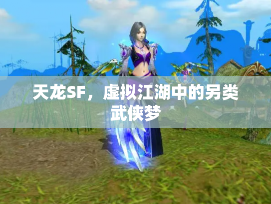 天龙SF，虚拟江湖中的另类武侠梦