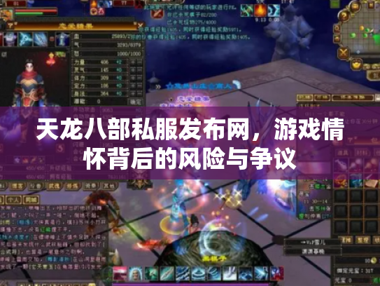 天龙八部私服发布网，游戏情怀背后的风险与争议