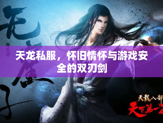 天龙私服，怀旧情怀与游戏安全的双刃剑
