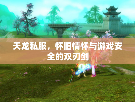 天龙私服，怀旧情怀与游戏安全的双刃剑