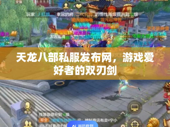 天龙八部私服发布网，游戏爱好者的双刃剑