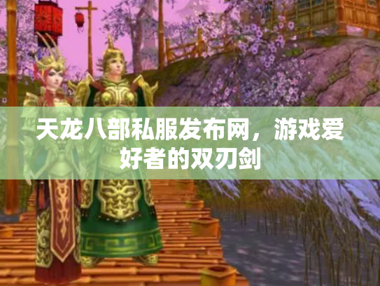 天龙八部私服发布网，游戏爱好者的双刃剑
