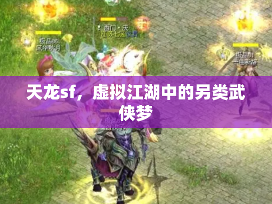 天龙sf，虚拟江湖中的另类武侠梦