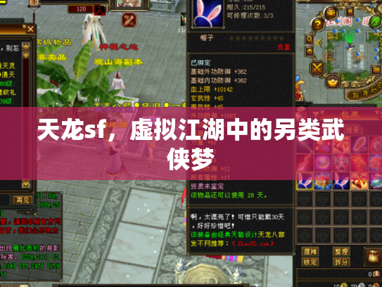 天龙sf，虚拟江湖中的另类武侠梦