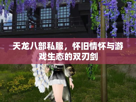 天龙八部私服，怀旧情怀与游戏生态的双刃剑