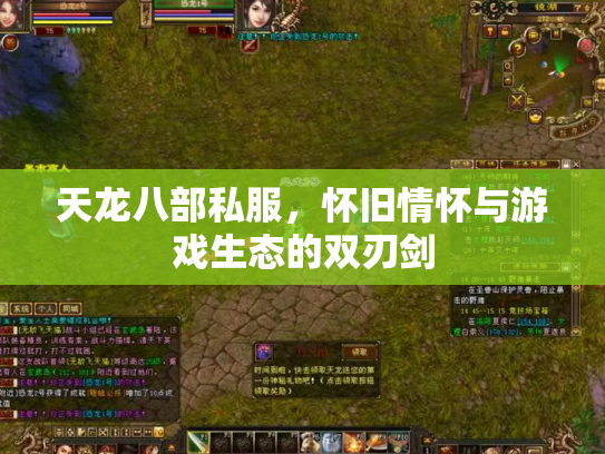 天龙八部私服，怀旧情怀与游戏生态的双刃剑