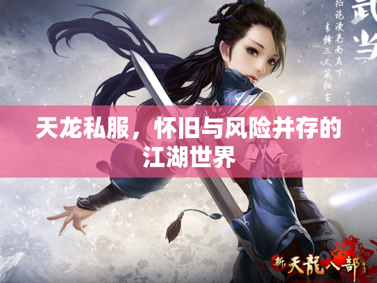 天龙私服，怀旧与风险并存的江湖世界