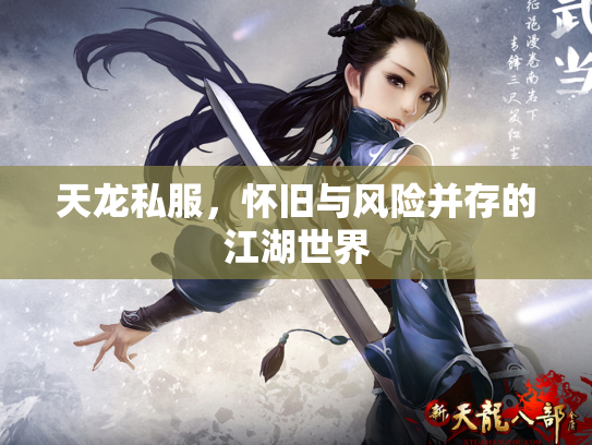 天龙私服，怀旧与风险并存的江湖世界