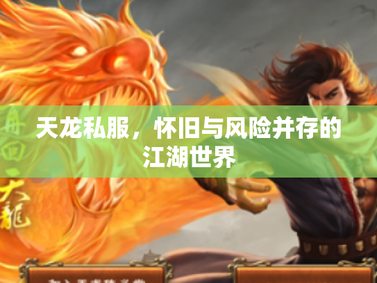 天龙私服，怀旧与风险并存的江湖世界
