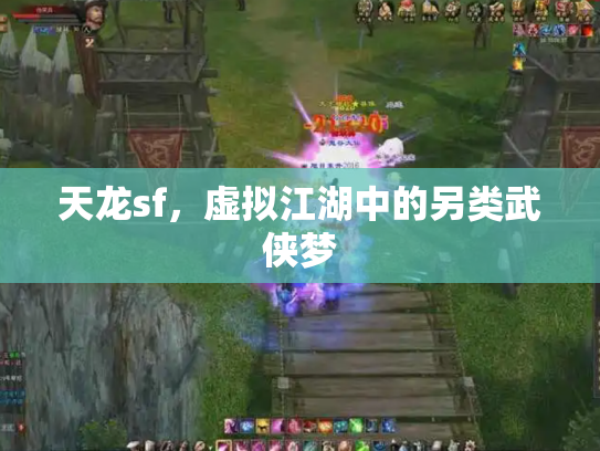 天龙sf，虚拟江湖中的另类武侠梦