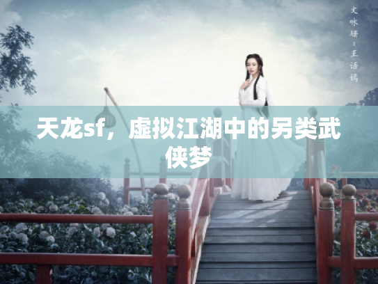 天龙sf，虚拟江湖中的另类武侠梦