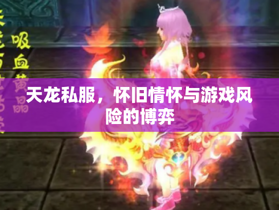 天龙私服，怀旧情怀与游戏风险的博弈