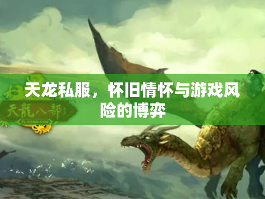 天龙私服，怀旧情怀与游戏风险的博弈