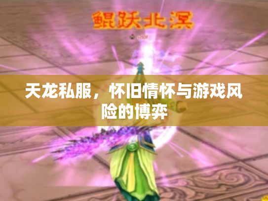 天龙私服，怀旧情怀与游戏风险的博弈