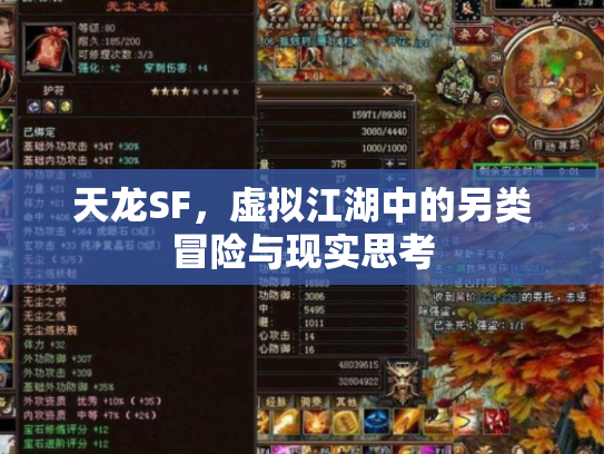 天龙SF，虚拟江湖中的另类冒险与现实思考