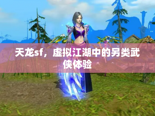 天龙sf，虚拟江湖中的另类武侠体验