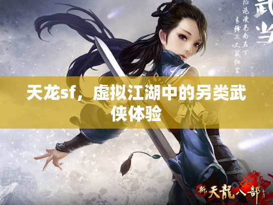 天龙sf，虚拟江湖中的另类武侠体验