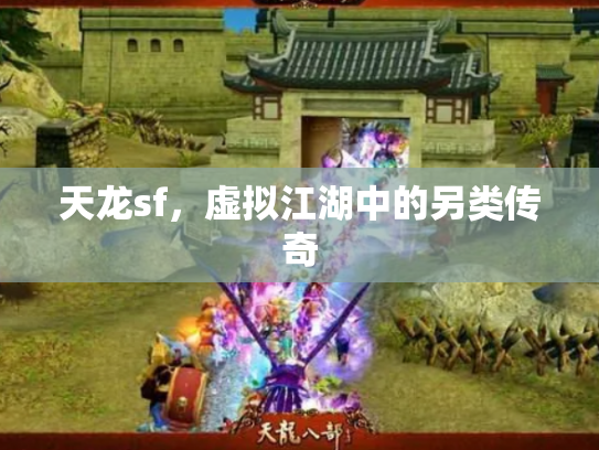 天龙sf，虚拟江湖中的另类传奇