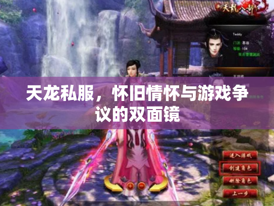 天龙私服，怀旧情怀与游戏争议的双面镜
