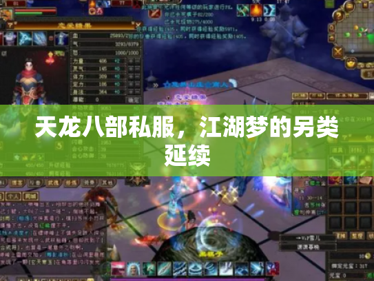 天龙八部私服，江湖梦的另类延续