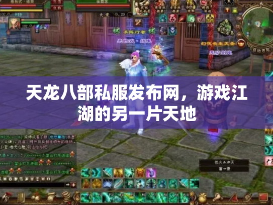天龙八部私服发布网，游戏江湖的另一片天地