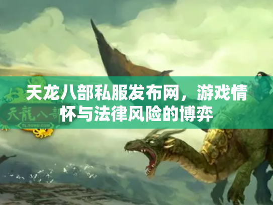天龙八部私服发布网，游戏情怀与法律风险的博弈