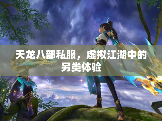 天龙八部私服，虚拟江湖中的另类体验