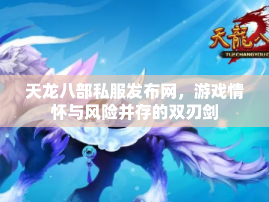 天龙八部私服发布网，游戏情怀与风险并存的双刃剑
