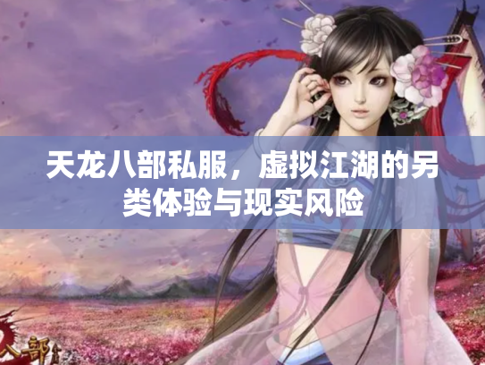 天龙八部私服，虚拟江湖的另类体验与现实风险
