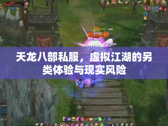 天龙八部私服，虚拟江湖的另类体验与现实风险
