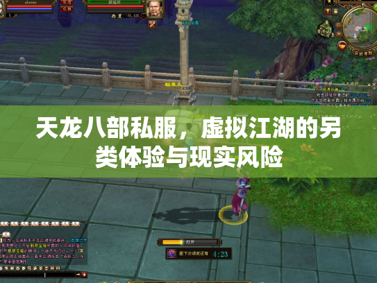 天龙八部私服，虚拟江湖的另类体验与现实风险