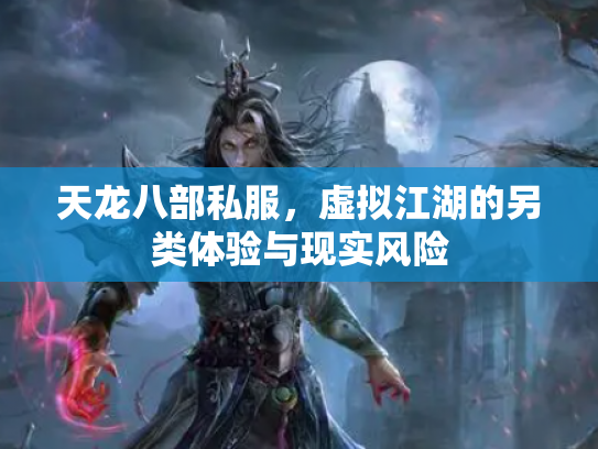 天龙八部私服，虚拟江湖的另类体验与现实风险