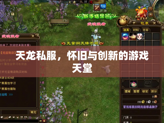 天龙私服，怀旧与创新的游戏天堂