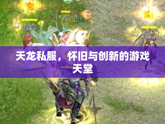 天龙私服，怀旧与创新的游戏天堂