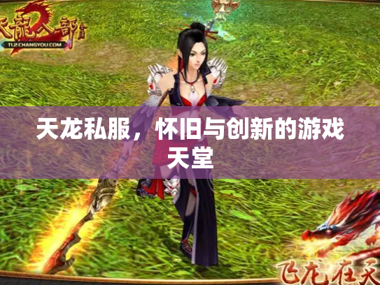 天龙私服，怀旧与创新的游戏天堂