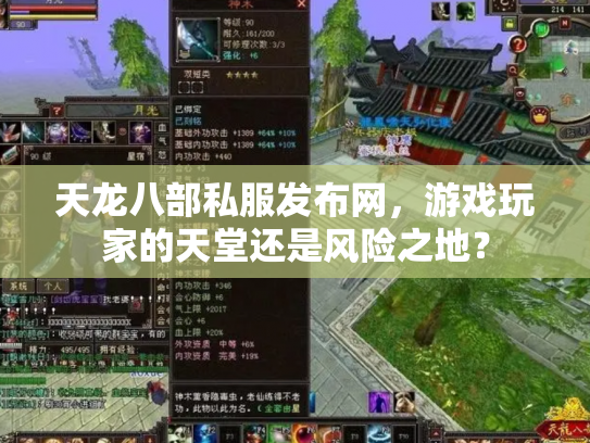 天龙八部私服发布网，游戏玩家的天堂还是风险之地？
