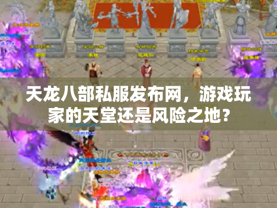 天龙八部私服发布网，游戏玩家的天堂还是风险之地？