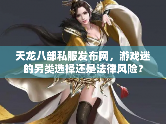 天龙八部私服发布网，游戏迷的另类选择还是法律风险？