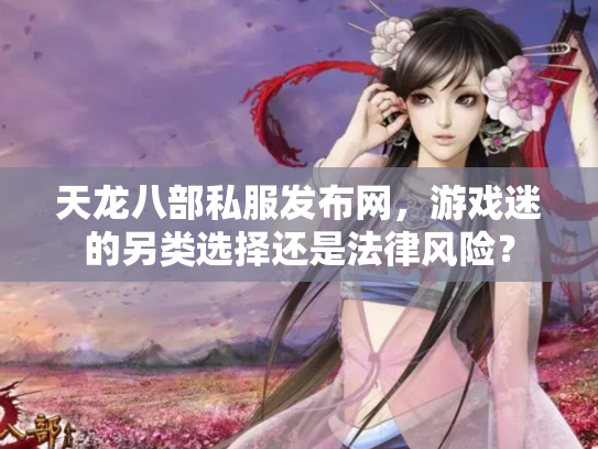 天龙八部私服发布网，游戏迷的另类选择还是法律风险？