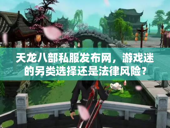 天龙八部私服发布网，游戏迷的另类选择还是法律风险？