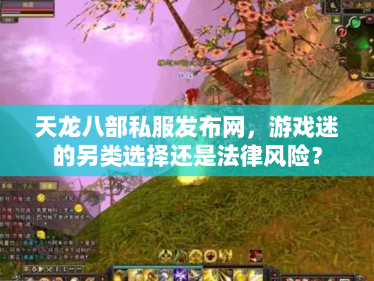 天龙八部私服发布网，游戏迷的另类选择还是法律风险？