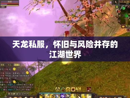 天龙私服，怀旧与风险并存的江湖世界